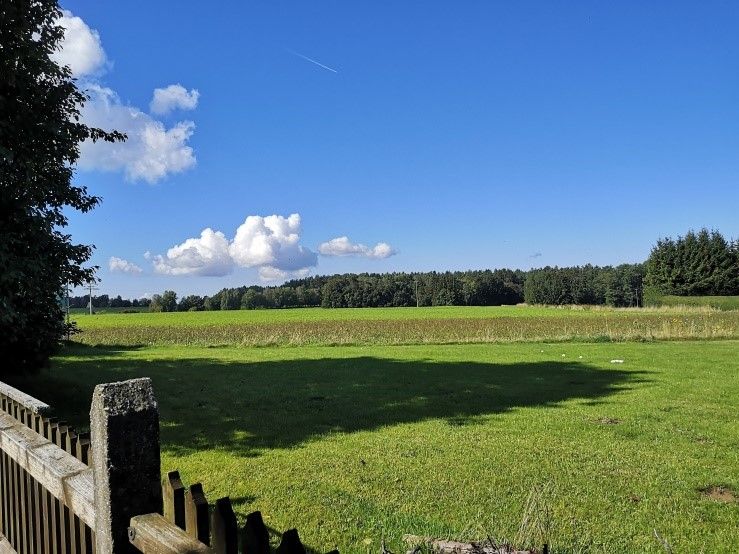 Ausblick